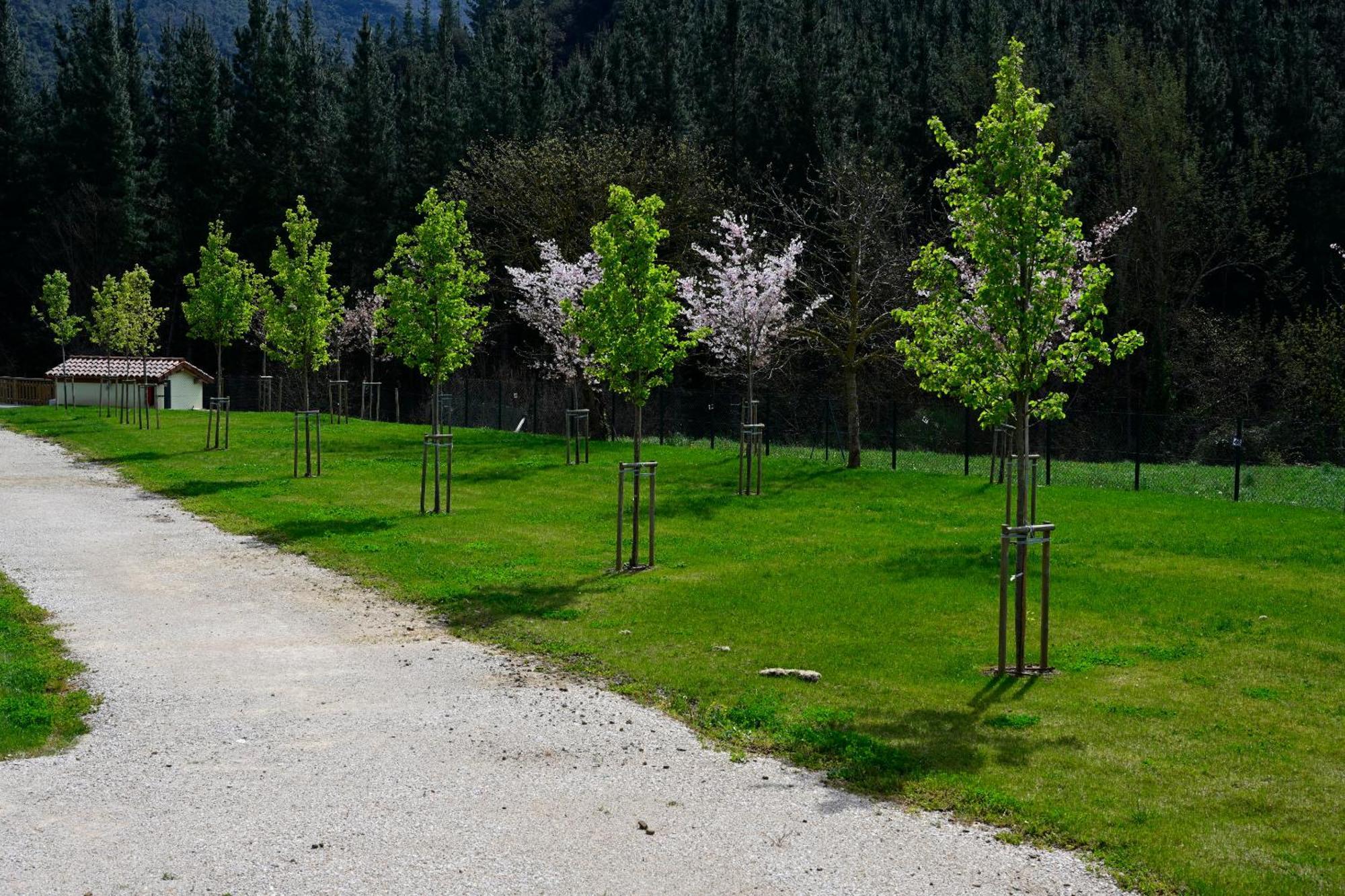 Camping Liebana Cabezon de Liebana Exterior foto